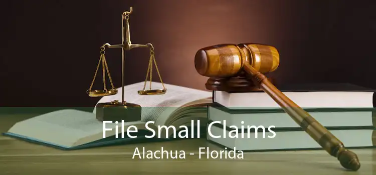 File Small Claims Alachua - Florida