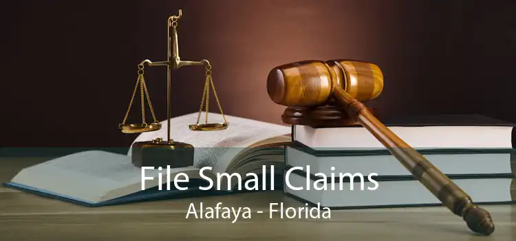 File Small Claims Alafaya - Florida