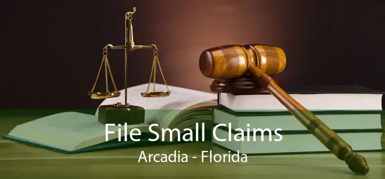 File Small Claims Arcadia - Florida