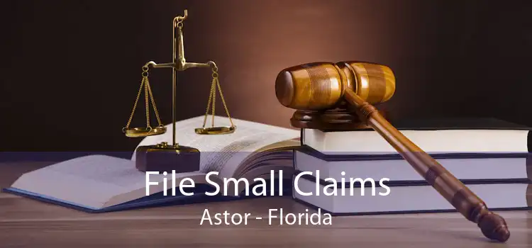 File Small Claims Astor - Florida