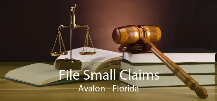 File Small Claims Avalon - Florida