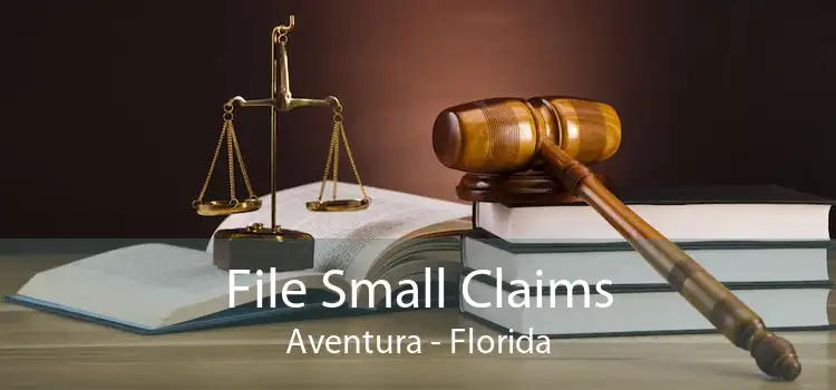 File Small Claims Aventura - Florida