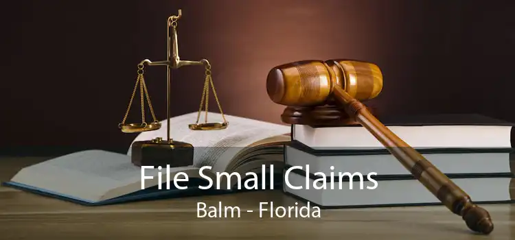 File Small Claims Balm - Florida