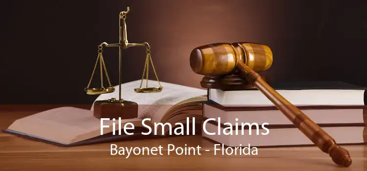 File Small Claims Bayonet Point - Florida