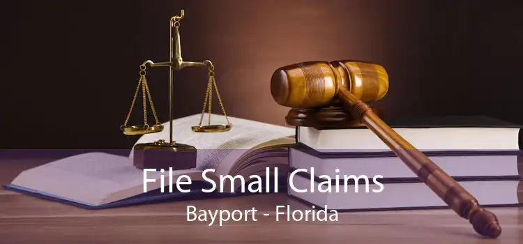 File Small Claims Bayport - Florida