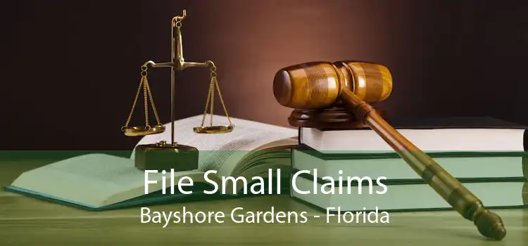 File Small Claims Bayshore Gardens - Florida