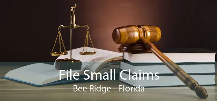 File Small Claims Bee Ridge - Florida