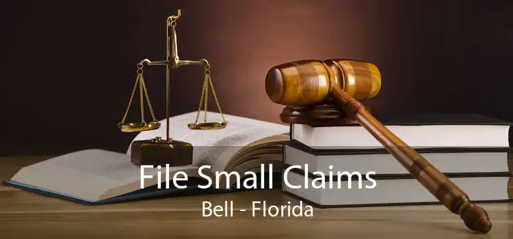 File Small Claims Bell - Florida