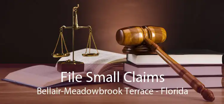 File Small Claims Bellair-Meadowbrook Terrace - Florida