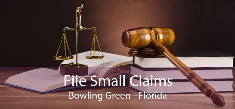 File Small Claims Bowling Green - Florida