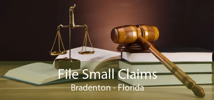 File Small Claims Bradenton - Florida