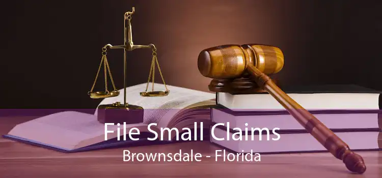 File Small Claims Brownsdale - Florida