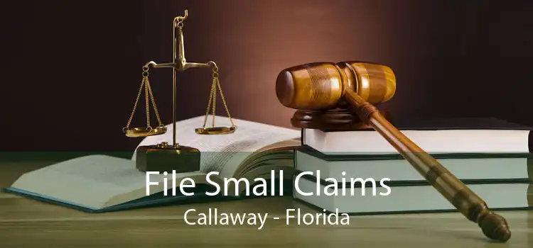 File Small Claims Callaway - Florida