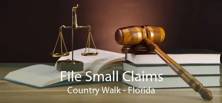 File Small Claims Country Walk - Florida