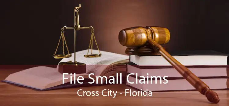 File Small Claims Cross City - Florida