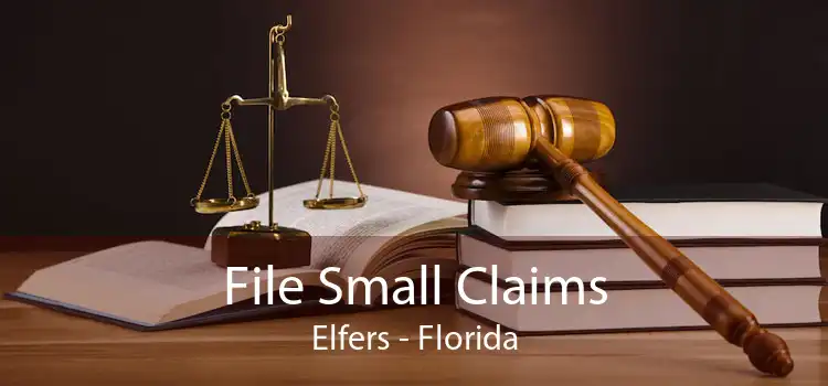 File Small Claims Elfers - Florida