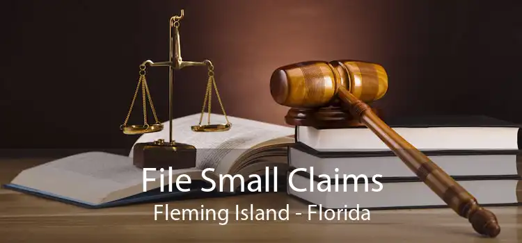 File Small Claims Fleming Island - Florida