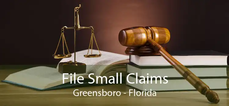 File Small Claims Greensboro - Florida