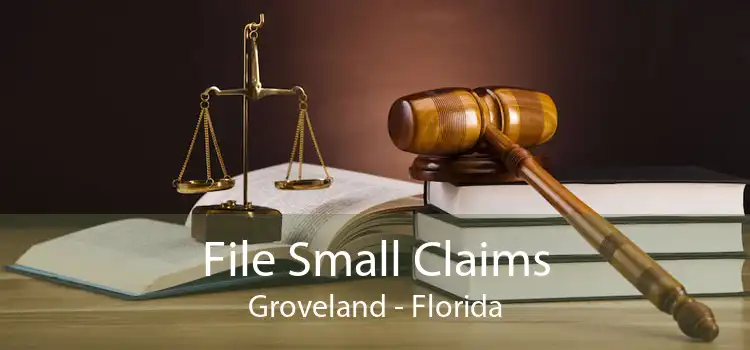 File Small Claims Groveland - Florida