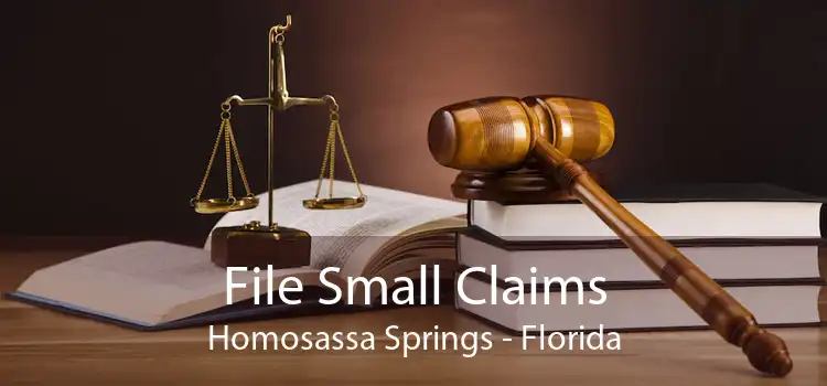 File Small Claims Homosassa Springs - Florida