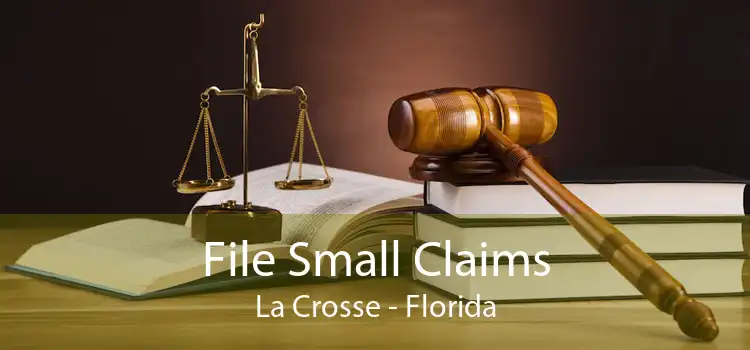 File Small Claims La Crosse - Florida