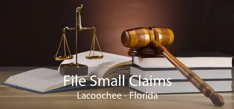 File Small Claims Lacoochee - Florida