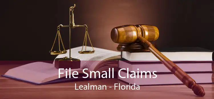 File Small Claims Lealman - Florida