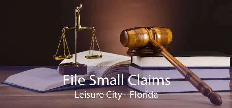 File Small Claims Leisure City - Florida