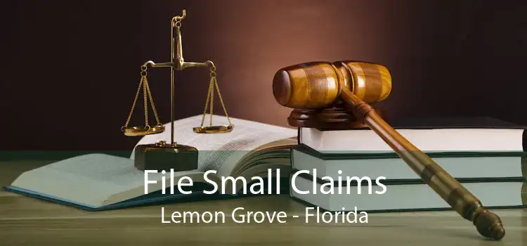 File Small Claims Lemon Grove - Florida