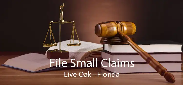 File Small Claims Live Oak - Florida