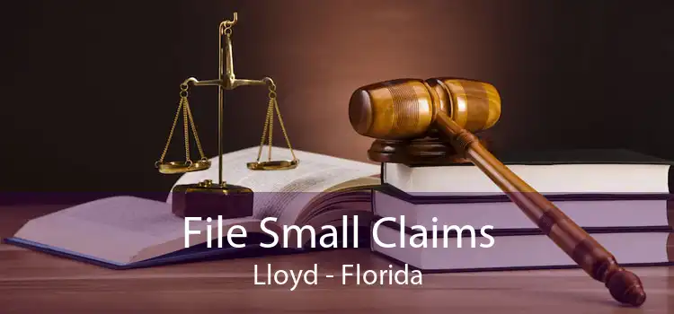 File Small Claims Lloyd - Florida