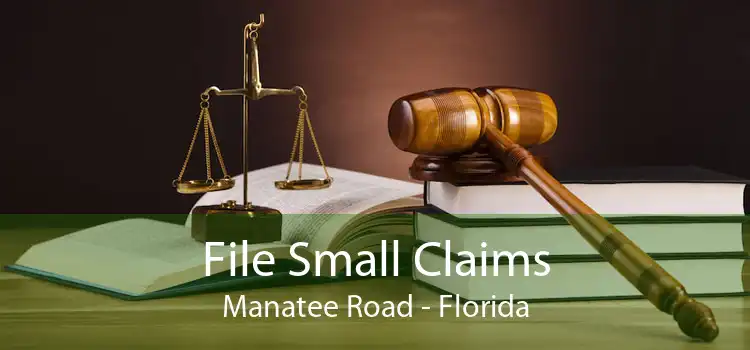 File Small Claims Manatee Road - Florida