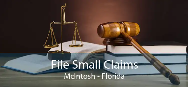 File Small Claims McIntosh - Florida