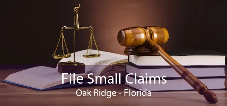 File Small Claims Oak Ridge - Florida