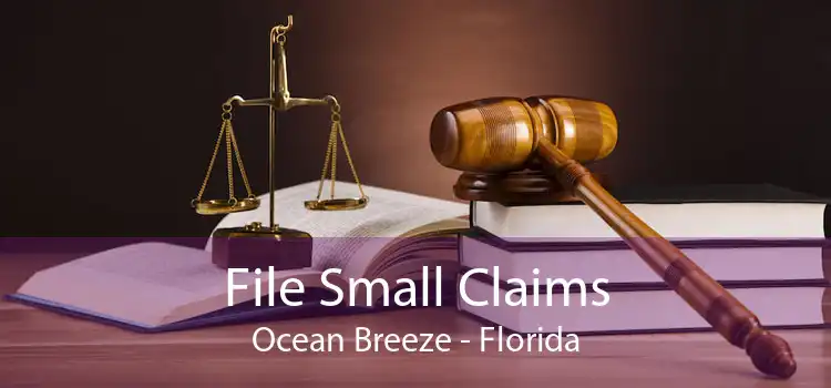 File Small Claims Ocean Breeze - Florida