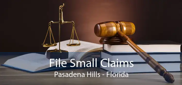 File Small Claims Pasadena Hills - Florida