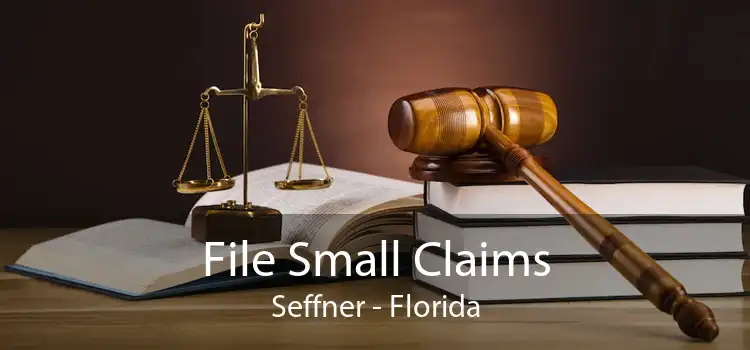 File Small Claims Seffner - Florida