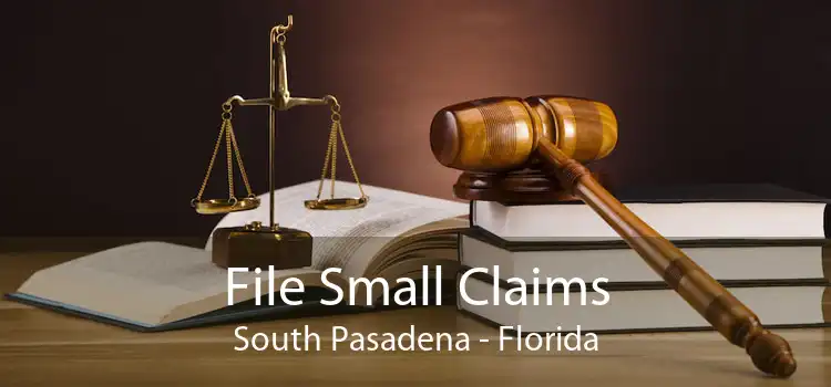 File Small Claims South Pasadena - Florida