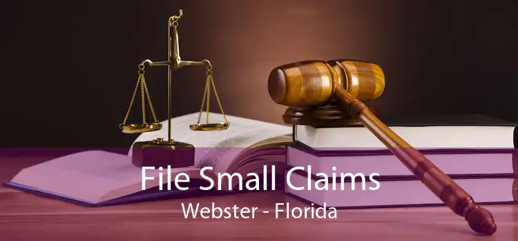 File Small Claims Webster - Florida