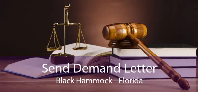 Send Demand Letter Black Hammock - Florida