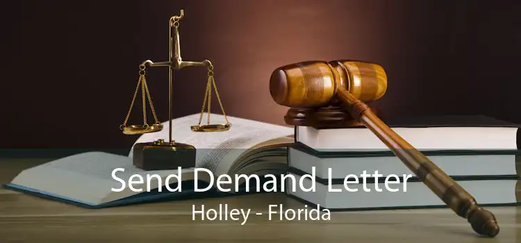 Send Demand Letter Holley - Florida