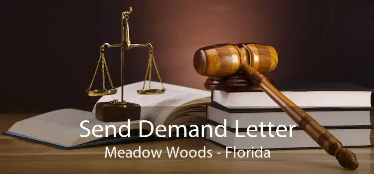 Send Demand Letter Meadow Woods - Florida