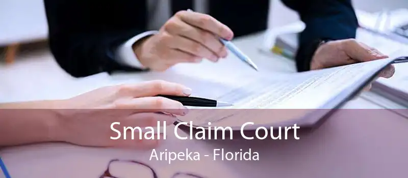 Small Claim Court Aripeka - Florida