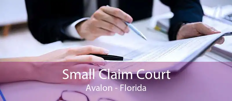 Small Claim Court Avalon - Florida