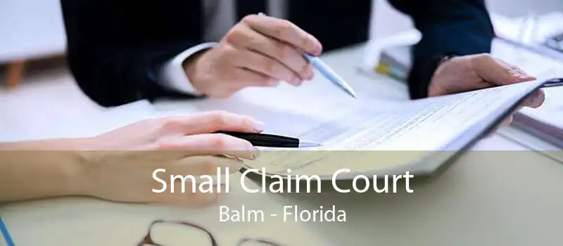 Small Claim Court Balm - Florida