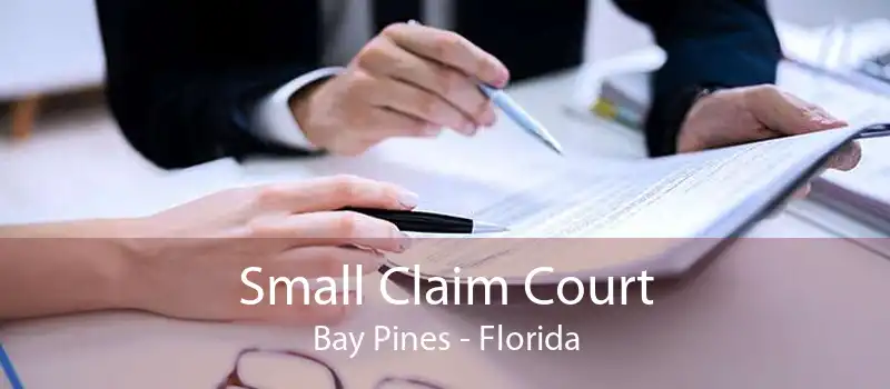 Small Claim Court Bay Pines - Florida