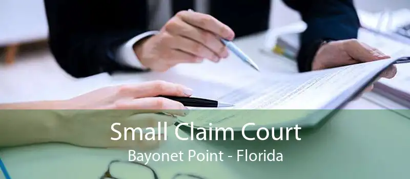 Small Claim Court Bayonet Point - Florida