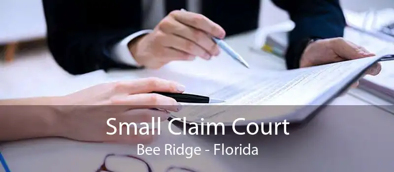 Small Claim Court Bee Ridge - Florida