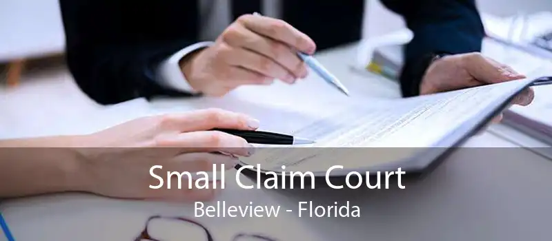 Small Claim Court Belleview - Florida