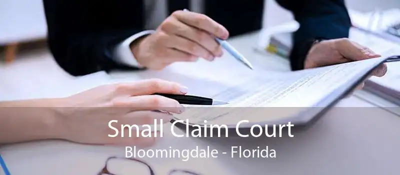 Small Claim Court Bloomingdale - Florida